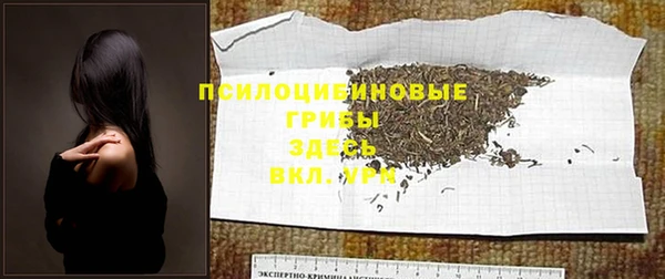 Альфа ПВП Беломорск