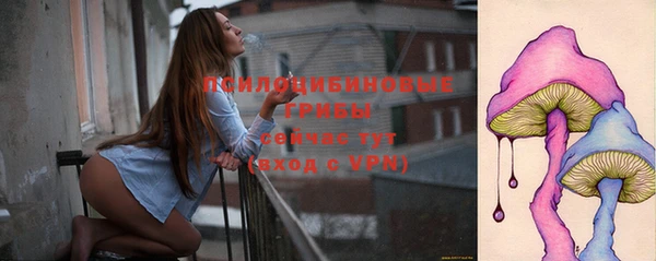 соль курить ск Белокуриха