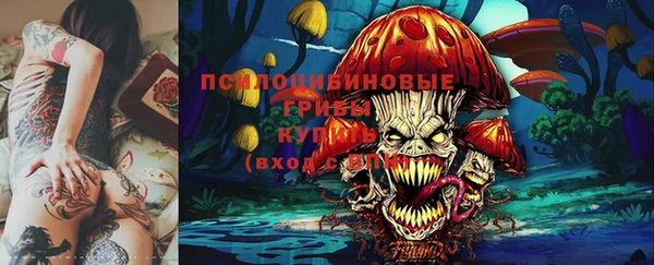дживик Белоозёрский