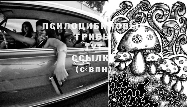 Альфа ПВП Беломорск